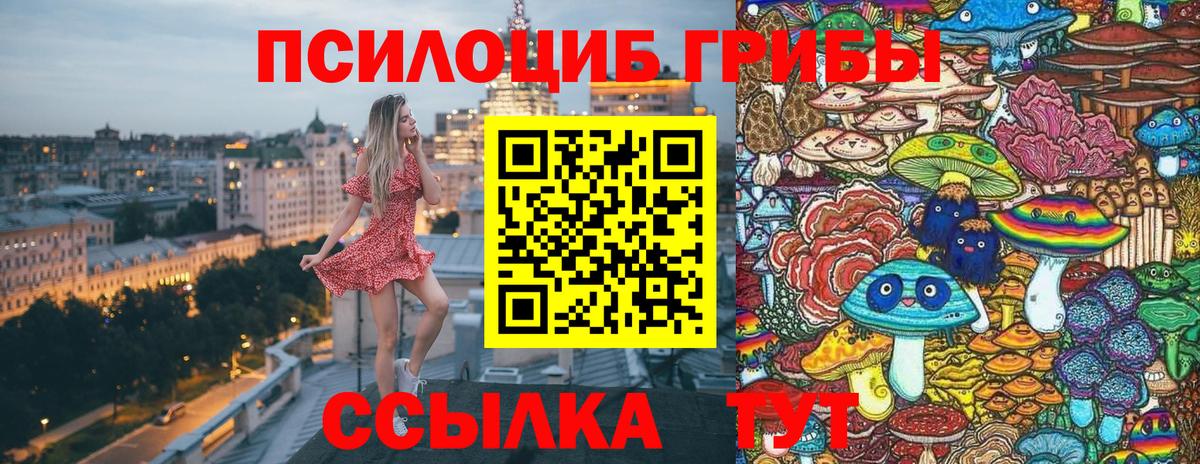 Псилоцибиновые грибы прущие грибы Михайловка