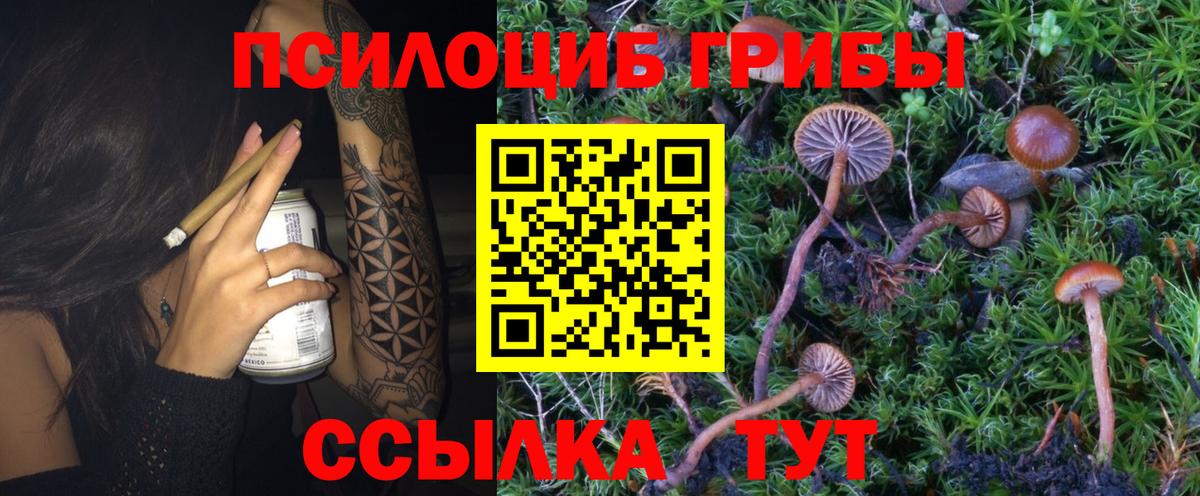 Михайловка  Галлюциногенные грибы MAGIC MUSHROOMS  магазин  наркотиков  Вход с VPN 